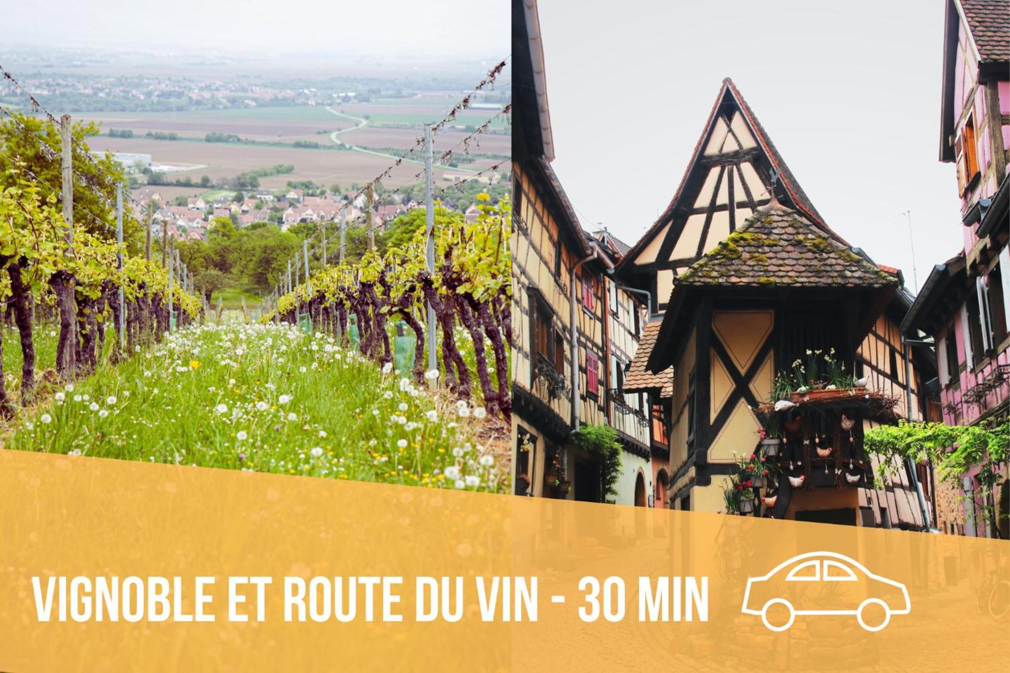 Les Pinots D'Alsace - 3 Bungalows Climatises Avec Tv - Proche Europa Park Boofzheim 客房 照片